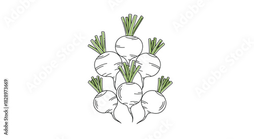 Minimalist line art illustration of a bunch of white turnips stacked together in a simple and clean outline drawing style.