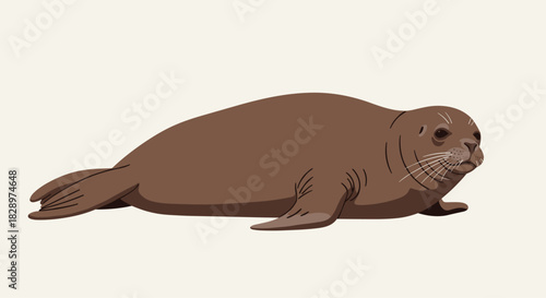 Detailed and realistic vector illustration of a brown sea lion resting on the ground in a calm and natural pose.