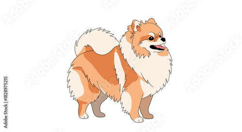 A cute and fluffy cartoon Pomeranian dog with orange and white fur stands happily with its tongue out on a white background.