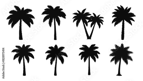 Vector illustration of set of eight black silhouette palm tree icons for tropical design isolated on transparent background