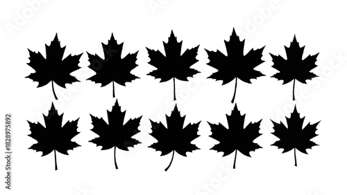 Vector illustration of ten black maple leaf silhouettes arranged in two rows, isolated on transparent background