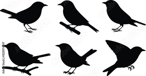 Individual black bird silhouettes presented in a grid showing varied perching and flight poses