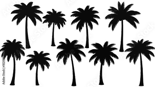 Vector illustration of collection of eight black silhouette palm tree icons isolated on transparent background for tropical design