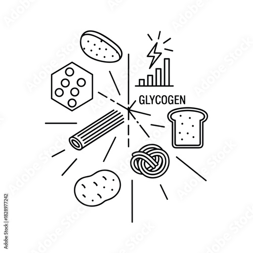 Carbohydrate foods and their role in glycogen energy storage for human body fuel and metabolism