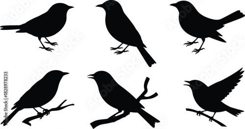 Six black bird silhouettes displayed on a clean white background, some perched on branches
