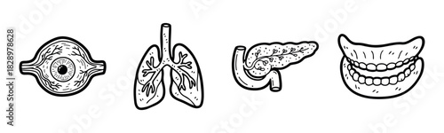 Black and white anatomical illustration of eye, lungs, stomach, and teeth