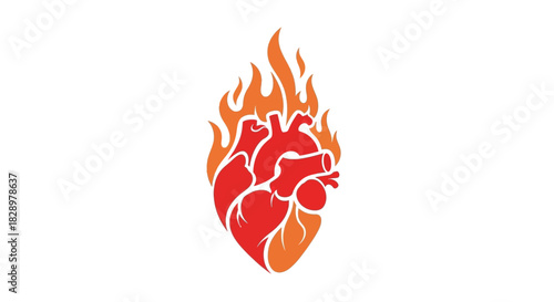 Anatomical heart engulfed in vibrant flames illustration.