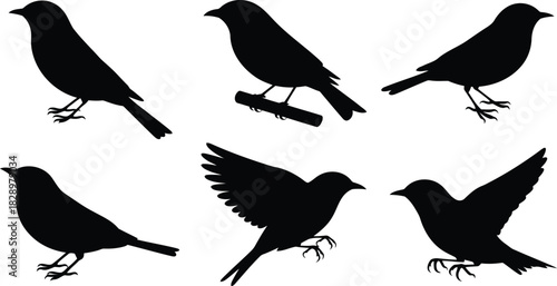 Six varied black bird silhouettes featuring different poses from standing to perching on a thick log and full flight