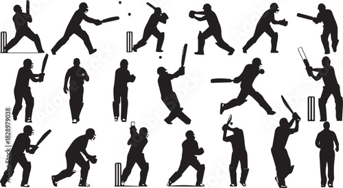 Silhouette Collection of Cricket Players in Action with Bats and Balls