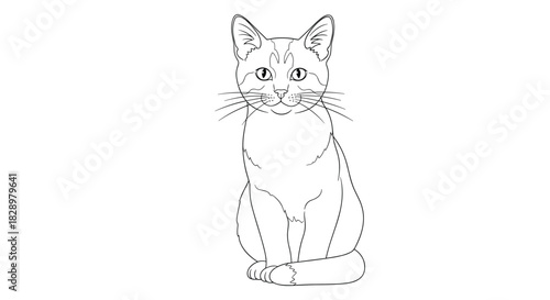 A black and white outline drawing of a cat sitting upright and staring straight ahead with whiskers and pointed ears.