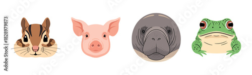 Cute animal faces: chipmunk, pig, manatee, frog illustrations