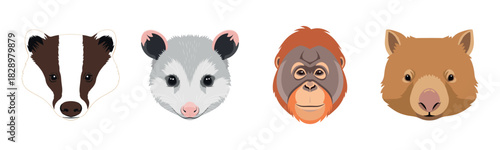 Animal faces: badger, possum, orangutan, wombat illustrations