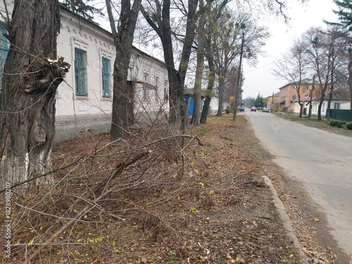 Quiet street lined with trees in a small town during autumn