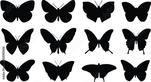 Large Collection of Butterfly Silhouettes in Various Wing Shapes, Insect Nature Spring Vector Icons, Twelve Different Flying Bugs, Monochrome Graphic Element Set.