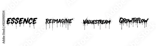 Graffiti words: essence, reimagine, valuestream, growthflow in dripping style