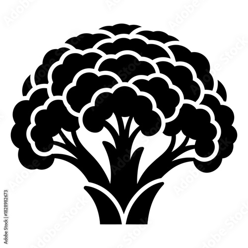 black silhouette cauliflower vegetable icon minimalist organic food agriculture vector illustration
