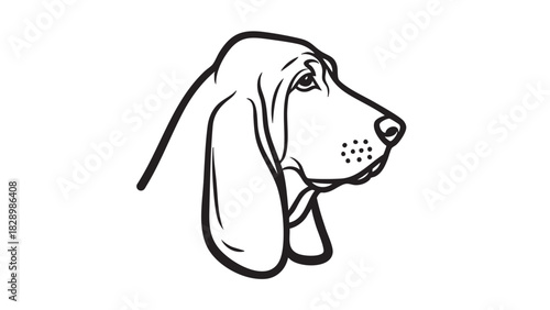 Line art illustration of a Basset Hound's head, showcasing its distinctive floppy ears and wrinkled snout in a profile view