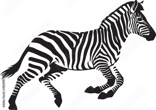 Zebra running vector illustration of an african wildlife animal in motion