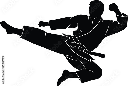 Black Silhouette of Karate Fighter Performing a High Kick karate, martial arts, fighter, silhouette, black and white, kick, action, dynamic, movement, sport, combat, discipline, training, exercise, st