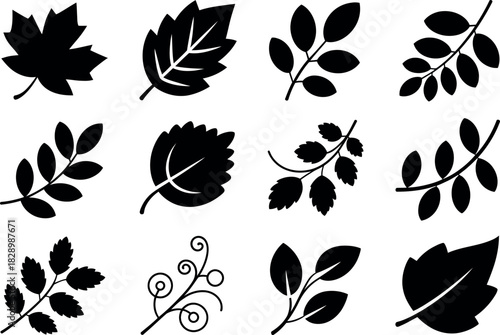 Black Leaf Silhouette Collection Vector Illustration Perfect for Autumn Designs