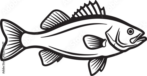 Bass fish with swimming predator features nature wildlife aquatic animal seafood fishing