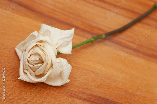 dry rose on  a warm-toned wooden surface