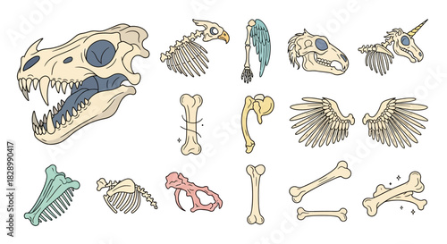 Dinosaur and Mythical Creature Bone Collection Illustration.