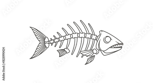 Fish Skeleton Illustration - Anatomy of a Bony Fish.