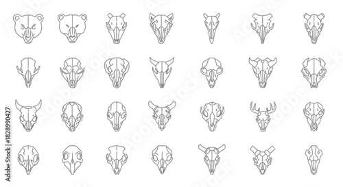 Geometric Animal Skulls - A Collection of Minimalist Line Art.