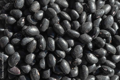 Black beans are ideal for projects related to cooking, natural ingredients, plant-based nutrition, and traditional recipes.