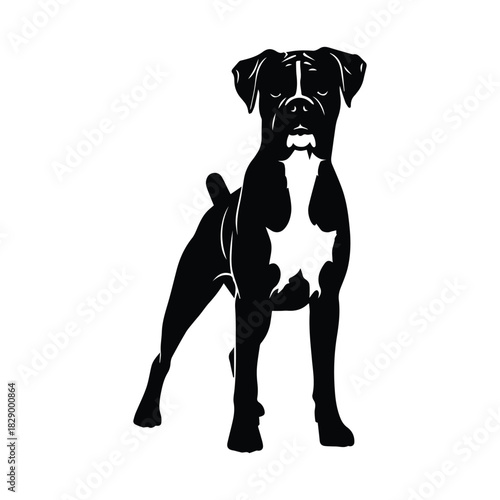 Boxer dog vector illustration. black silhouette of a powerful canine breed. Vector, illustration