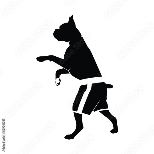 Boxer dog silhouette standing on hind legs wearing shorts, dynamic pose Vector, illustration