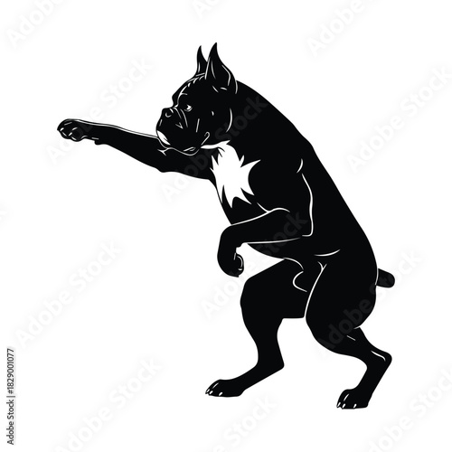 Black boxer dog silhouette with white chest mark in a playful stance Vector, illustration