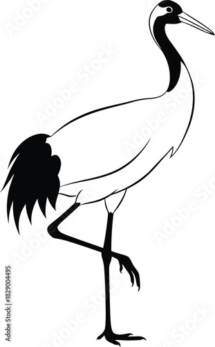 Elegant Black and White Crane Standing Illustration with Graceful Design Vector Isolated on Transparent Background Symbolizing Longevity and Good Fortune With Detailed Feathers and Posture