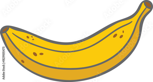 Banana Vector – Fresh Yellow Tropical Fruit (EPS)