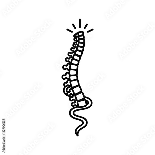 Outline illustration of human spine with glowing top, isolated on