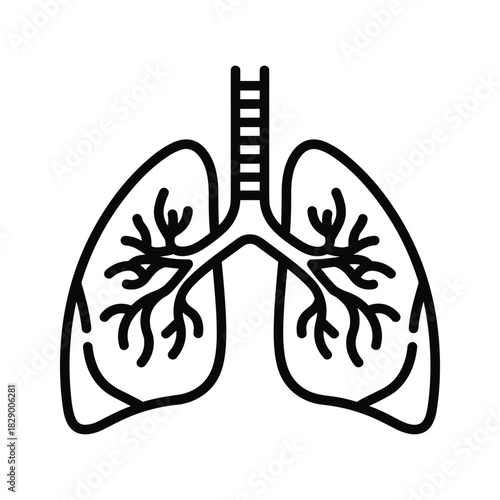Human lungs with bronchi and trachea, simple line art icon