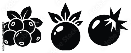 ice berry silhouette icon set. christmas silhouette icons collection with solid styles.