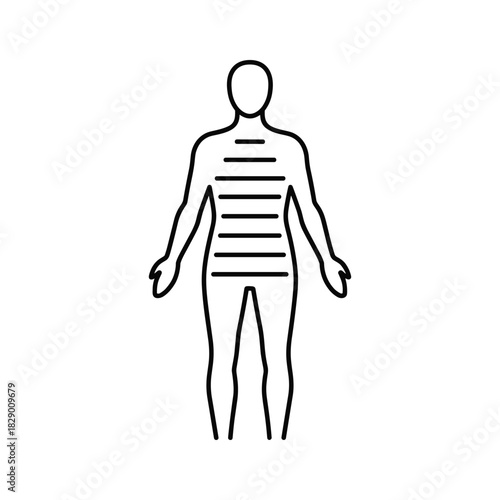 Human body outline with horizontal lines on torso, isolated on white background