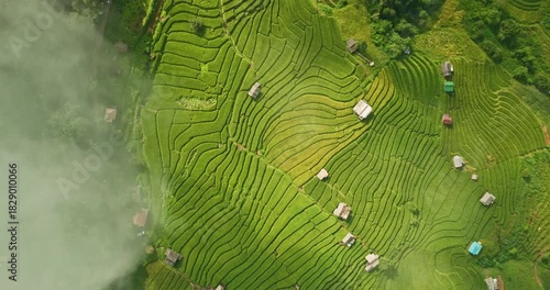 Aerial view of winding rice terraces stretch across the rolling hills, bordered by jungle and forest in Chiangmai. This stunning aerial scene showcases the balance of human care and natural splendor