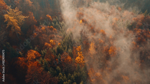 Aerial view of a misty autumn forest in full fall colors. Golden and red treetops covered by morning fog, captured in high resolution — perfect for large prints or nature backgrounds.