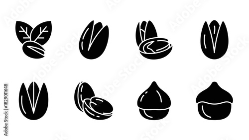 Delicious pistachio nuts and macadamia nuts, healthy snack food ingredient icon set