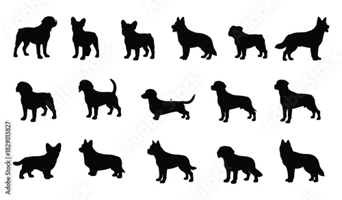 Diverse dog breed silhouettes collection, various poses and sizes Vector