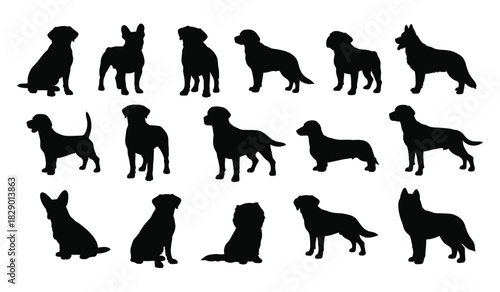 Collection of various dog breed silhouettes on a white background Vector
