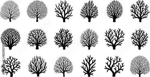 Collection of black silhouette bare trees with intricate branching patterns vector