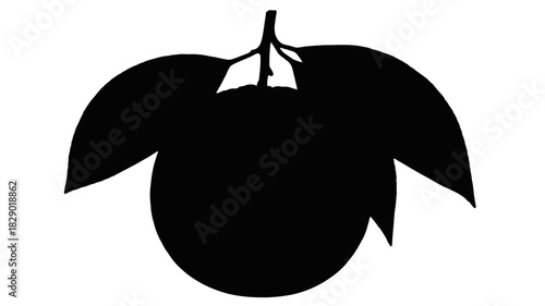 Dark silhouette of fresh passion fruit with leaves, delicious tropical fruit design element, exotic flavor