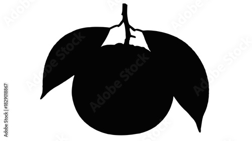 Elegant orange fruit with delicate leaves, a symbol of freshness and healthy living, ideal for creative projects