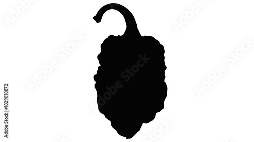 Spicy habanero pepper ready to add a fiery kick to your next culinary creation, a chef's secret weapon