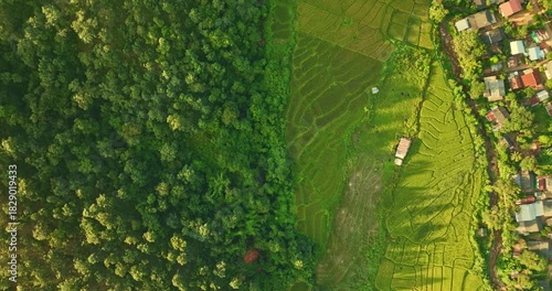 Aerial top view of terraced rice fields and rural village in a charming valley of green rice fields and lush forests at Pai, creating a peaceful and atmospheric rural atmosphere. beautiful nature