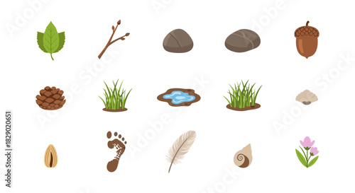 Nature elements set: leaves, rocks, acorns and flowers in minimalist design